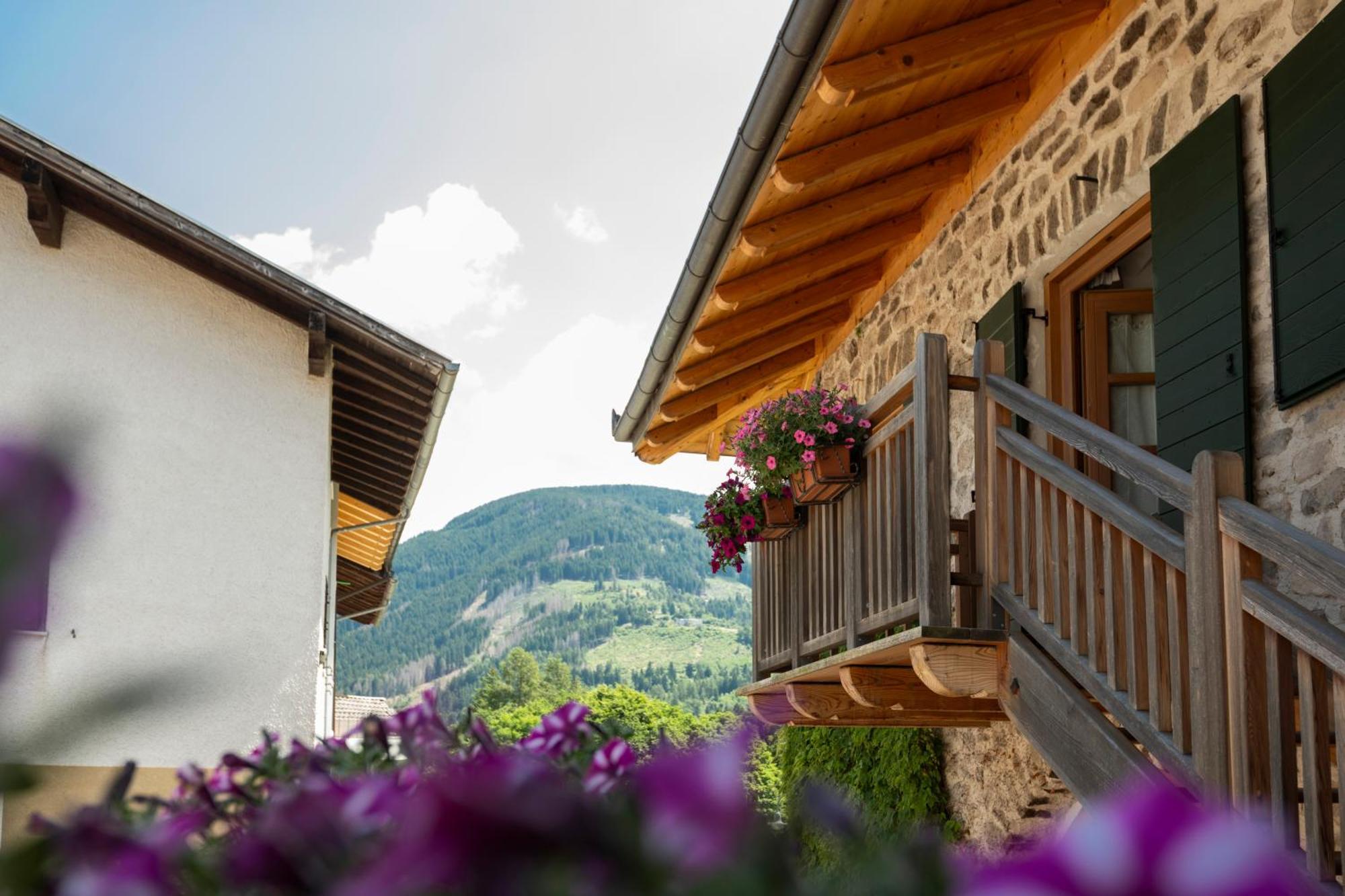 B&B Le Molinare Home Relax Varda Exteriér fotografie